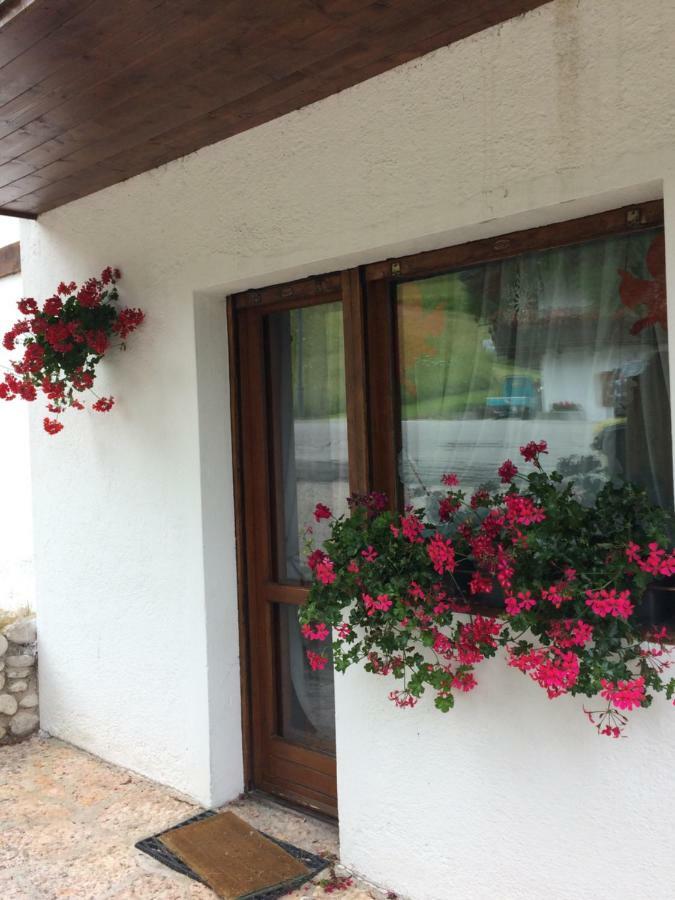Apartament Ca' Dello Scoiattolo Cortina dʼAmpezzo Zewnętrze zdjęcie