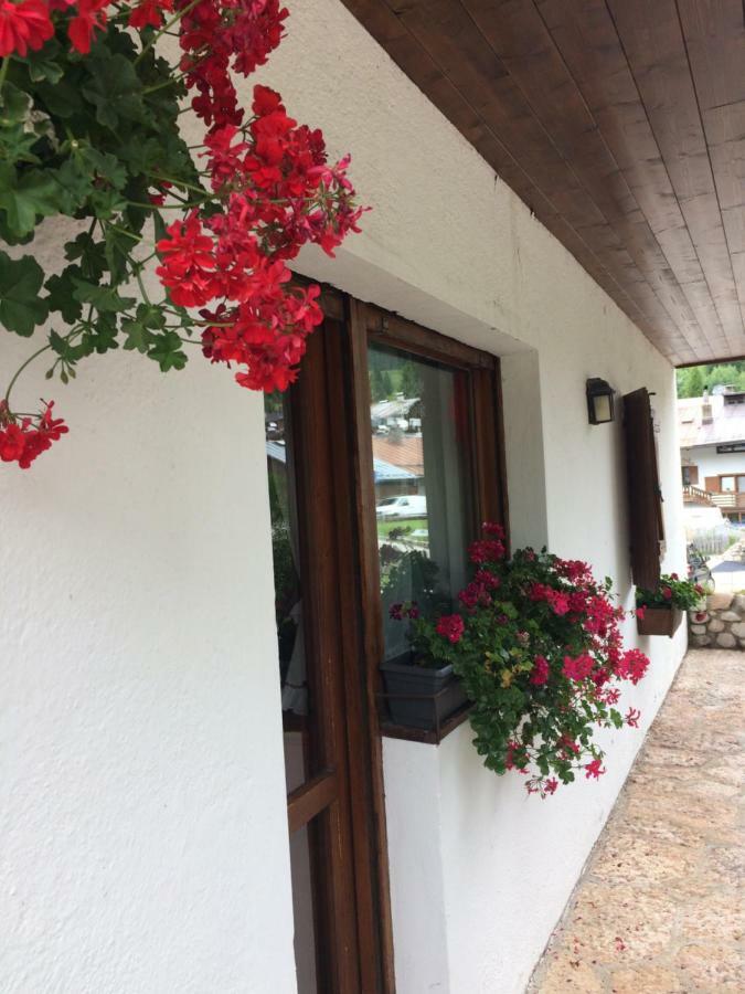 Apartament Ca' Dello Scoiattolo Cortina dʼAmpezzo Zewnętrze zdjęcie